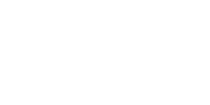 white-lg-logo